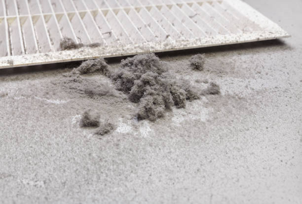 Best Home Air Vent Cleaning  in Yuma, AZ