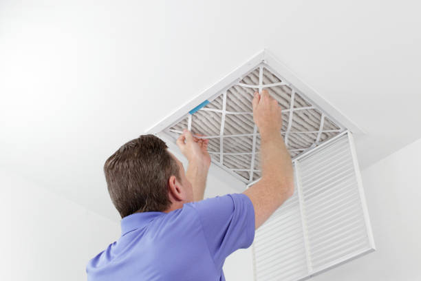 Best Affordable Duct Cleaning Services  in Yuma, AZ